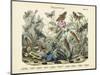 Butterflies, C.1860-null-Mounted Giclee Print