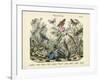 Butterflies, C.1860-null-Framed Giclee Print