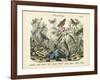 Butterflies, C.1860-null-Framed Giclee Print