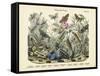 Butterflies, C.1860-null-Framed Stretched Canvas