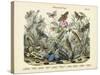 Butterflies, C.1860-null-Stretched Canvas