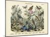 Butterflies, C.1860-null-Mounted Giclee Print