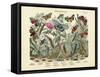 Butterflies, C.1860-null-Framed Stretched Canvas