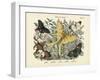 Butterflies, C.1860-null-Framed Giclee Print