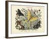 Butterflies, C.1860-null-Framed Giclee Print