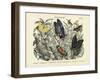 Butterflies, C.1860-null-Framed Giclee Print