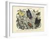 Butterflies, C.1860-null-Framed Giclee Print