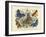 Butterflies, C.1860-null-Framed Giclee Print