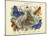 Butterflies, C.1860-null-Mounted Giclee Print