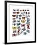 Butterflies, c.1955-Andy Warhol-Framed Giclee Print