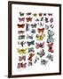 Butterflies, c.1955-Andy Warhol-Framed Giclee Print