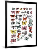 Butterflies, c.1955-Andy Warhol-Framed Giclee Print