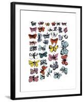 Butterflies, c.1955-Andy Warhol-Framed Giclee Print