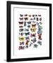 Butterflies, c.1955-Andy Warhol-Framed Giclee Print