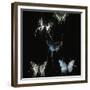 Butterflies Decay-IA London-Framed Art Print