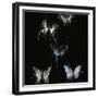 Butterflies Decay-IA London-Framed Art Print