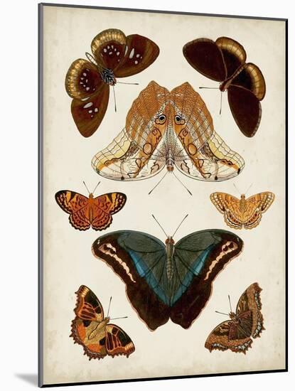 Butterflies Displayed II-Vision Studio-Mounted Art Print