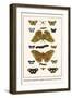 Butterflies, Dragonflies, Eggflies, Large Green-Banded Blues,-Albertus Seba-Framed Art Print