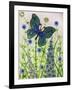 Butterflies, Green and Blue, 2016-Pat Scott-Framed Giclee Print