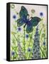 Butterflies, Green and Blue, 2016-Pat Scott-Framed Stretched Canvas