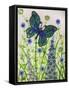 Butterflies, Green and Blue, 2016-Pat Scott-Framed Stretched Canvas