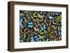 Butterflies grouped together to make pattern, Sammamish, Washington State-Darrell Gulin-Framed Photographic Print