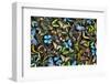 Butterflies grouped together to make pattern, Sammamish, Washington State-Darrell Gulin-Framed Photographic Print