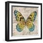 Butterflies I-Tandi Venter-Framed Giclee Print