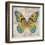 Butterflies I-Tandi Venter-Framed Giclee Print