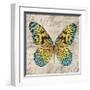 Butterflies I-Tandi Venter-Framed Giclee Print