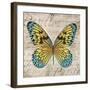 Butterflies I-Tandi Venter-Framed Giclee Print