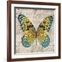 Butterflies I-Tandi Venter-Framed Giclee Print