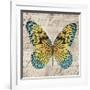 Butterflies I-Tandi Venter-Framed Giclee Print