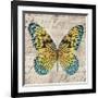 Butterflies I-Tandi Venter-Framed Giclee Print