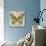 Butterflies I-Tandi Venter-Stretched Canvas displayed on a wall