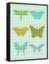 Butterflies I-Patty Young-Framed Stretched Canvas