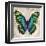 Butterflies II-Tandi Venter-Framed Giclee Print