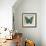 Butterflies II-Tandi Venter-Framed Giclee Print displayed on a wall