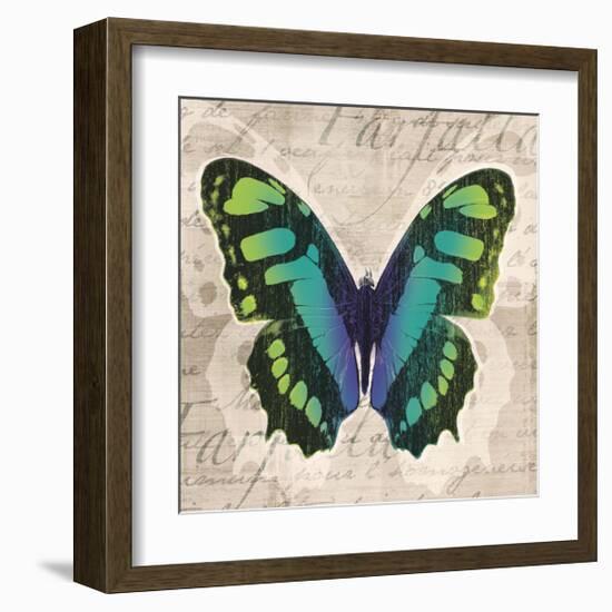 Butterflies II-Tandi Venter-Framed Giclee Print