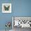 Butterflies II-Tandi Venter-Framed Giclee Print displayed on a wall