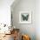 Butterflies II-Tandi Venter-Framed Giclee Print displayed on a wall