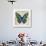 Butterflies II-Tandi Venter-Giclee Print displayed on a wall