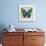 Butterflies II-Tandi Venter-Giclee Print displayed on a wall