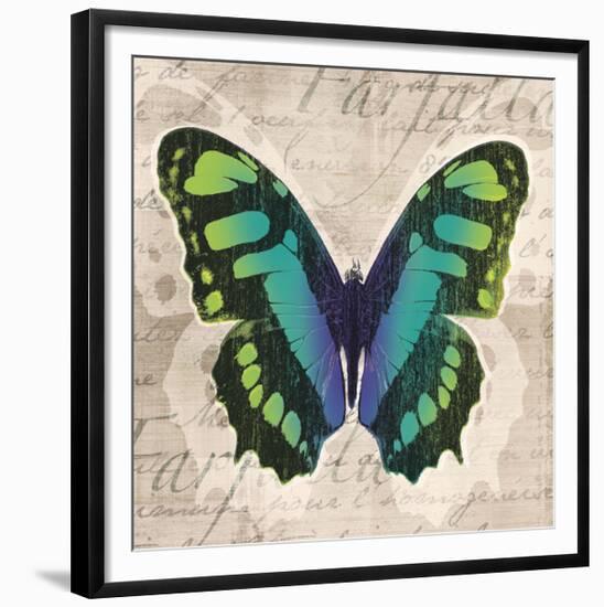 Butterflies II-Tandi Venter-Framed Giclee Print