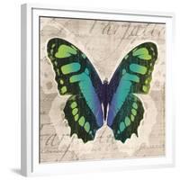 Butterflies II-Tandi Venter-Framed Giclee Print