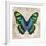 Butterflies II-Tandi Venter-Framed Giclee Print