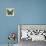 Butterflies II-Tandi Venter-Stretched Canvas displayed on a wall