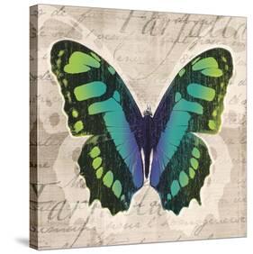 Butterflies II-Tandi Venter-Stretched Canvas