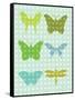 Butterflies II-Patty Young-Framed Stretched Canvas