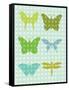 Butterflies II-Patty Young-Framed Stretched Canvas